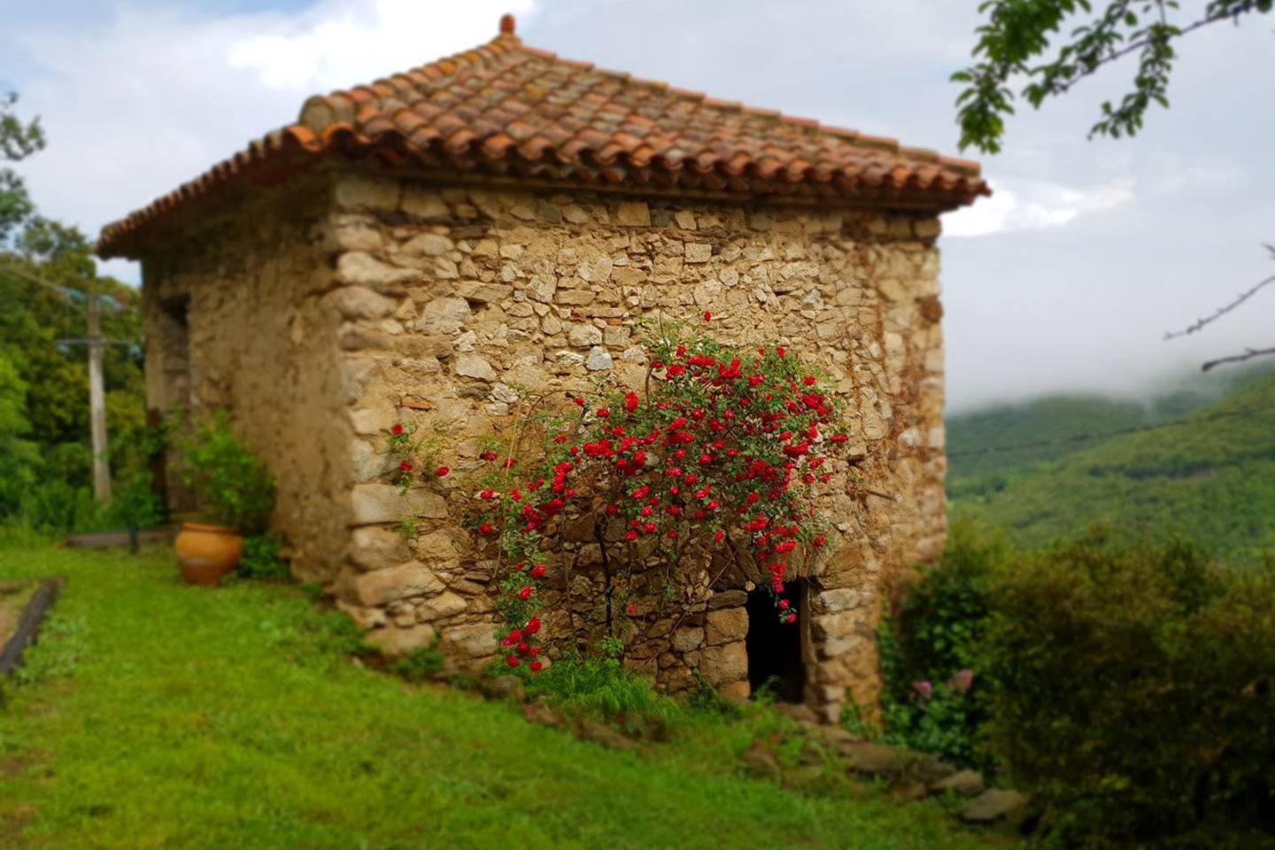 Crouanques-The-Dovecote